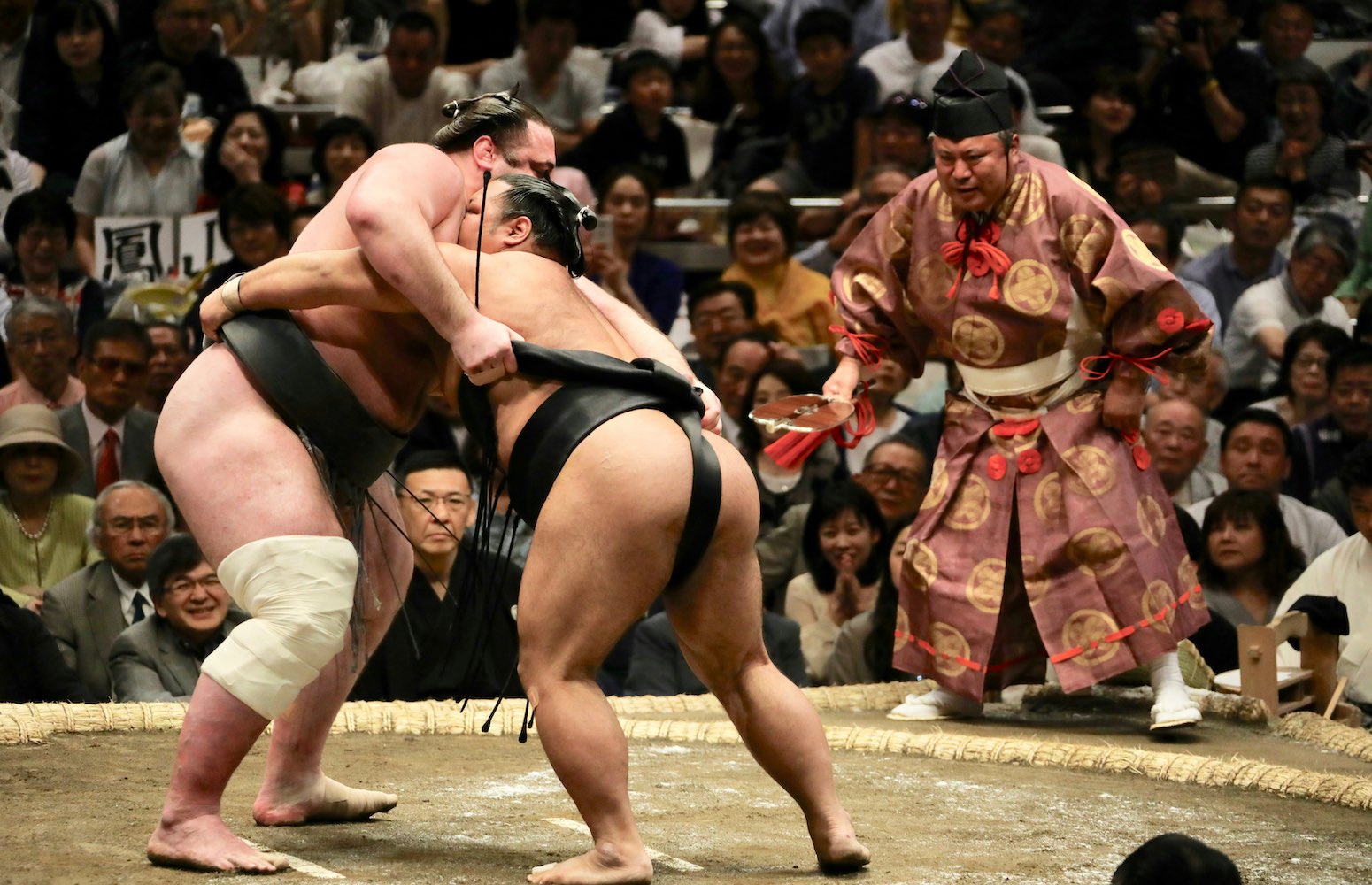campeonato sumo